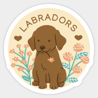 Chocolate Labrador Sticker